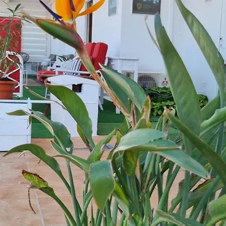 Hotel Boutique Arenas