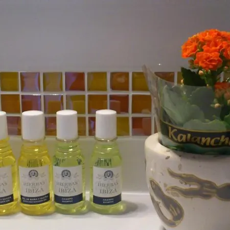 拉斯维加斯阿里纳斯精品酒店 2*